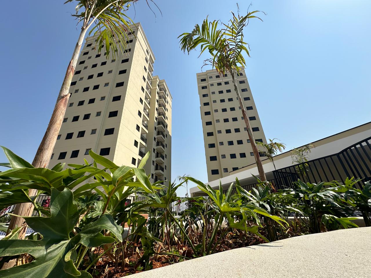 WhatsApp Image 2024-08-21 at 13.15.34 (3)